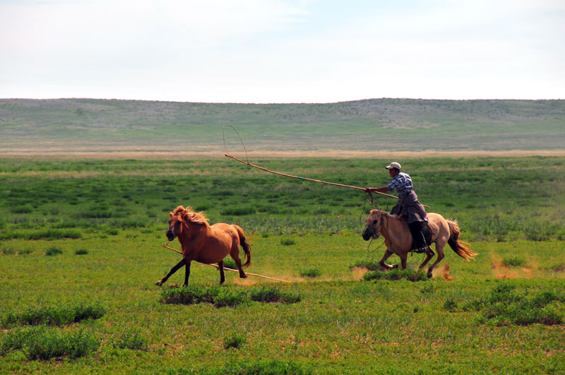 Mongolie
